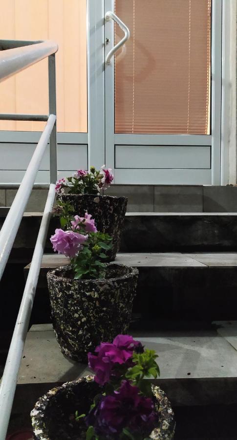 Apartman Todorovic Jagodina Exterior foto